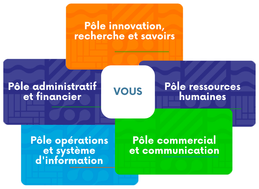 Organisation matricielle de Global Development, spécialisée en ingénierie pour les pays en développement