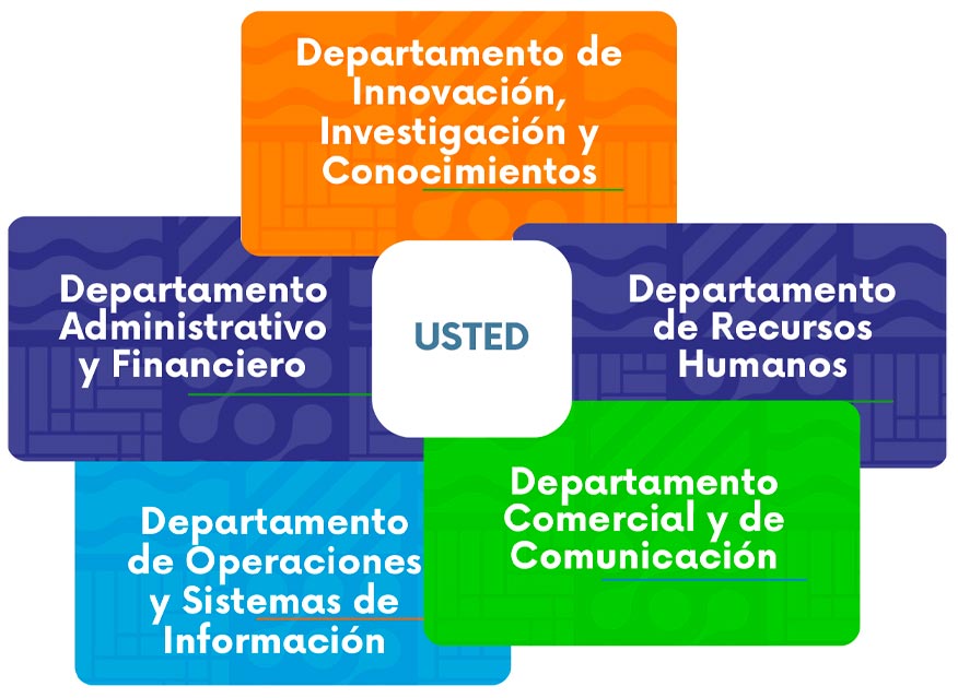 Organisation-matricielle-ES Organización matricial de Global Development, especializada en ingeniería para los países en desarrollo