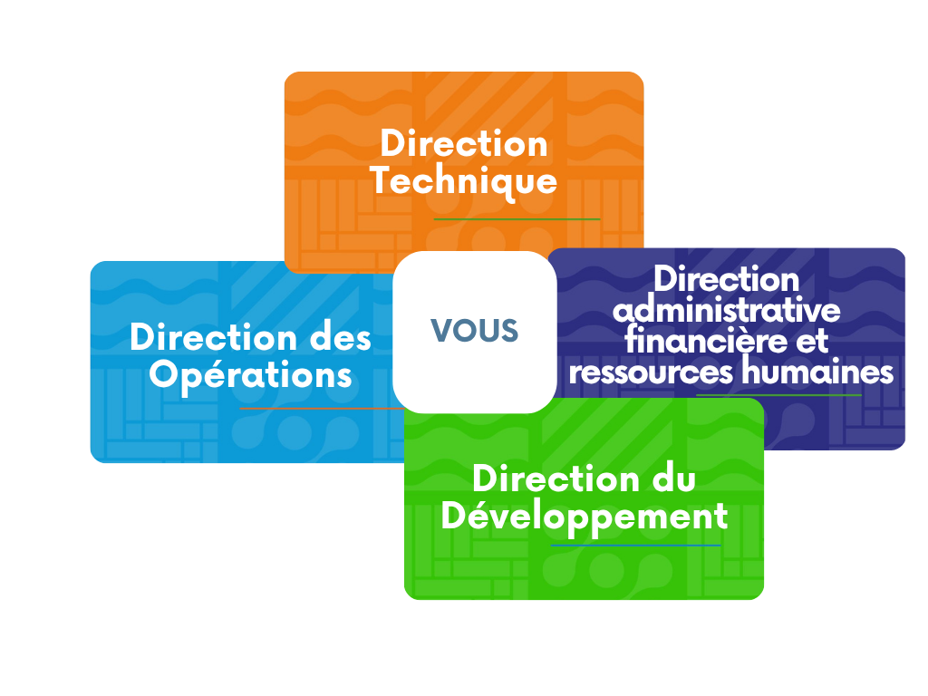 Organisation Global Development